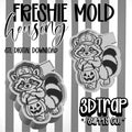 Halloween Raccoon  Freshie Mold Housing – STL File